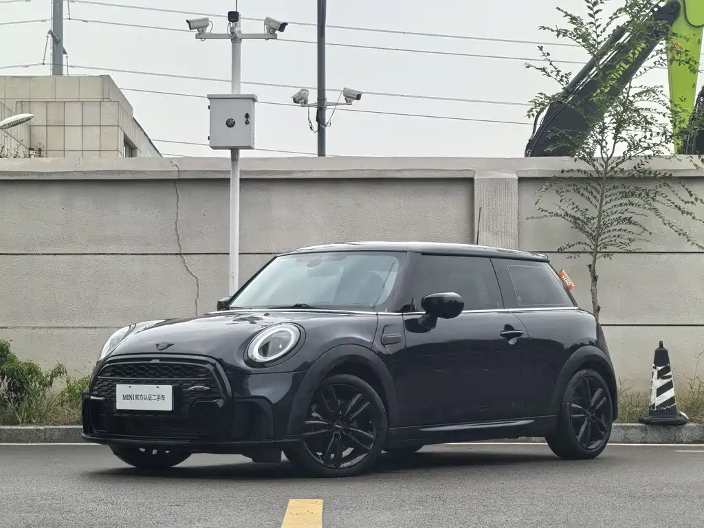 MINI OTHER 2022