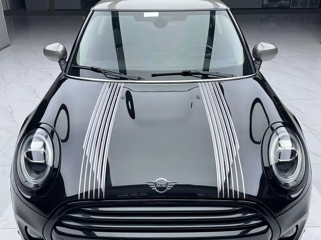 MINI OTHER 2021