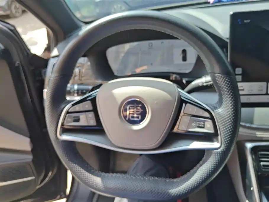 BYD TANG NEW ENERGY 2025