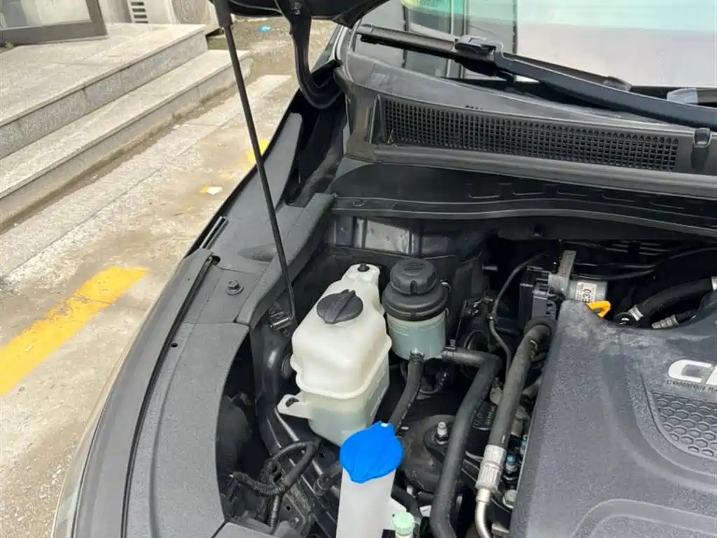 KIA CARNIVAL IMPORT 2017