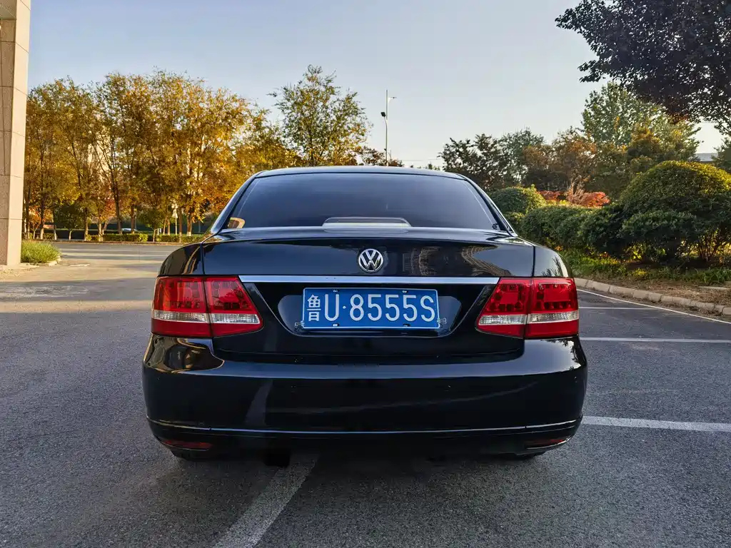 VOLKSWAGEN PASSAT LINGYU 2010