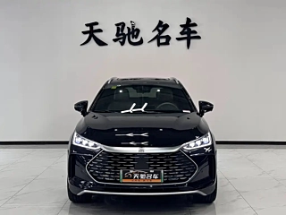 BYD TANG NEW ENERGY  2025