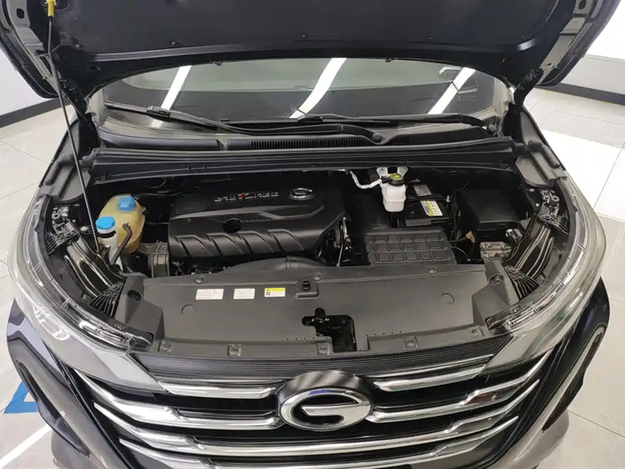 TRUMPCHI M6 2019