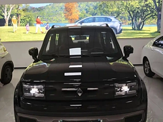 Заказать BAO JUN YUEYE PLUS