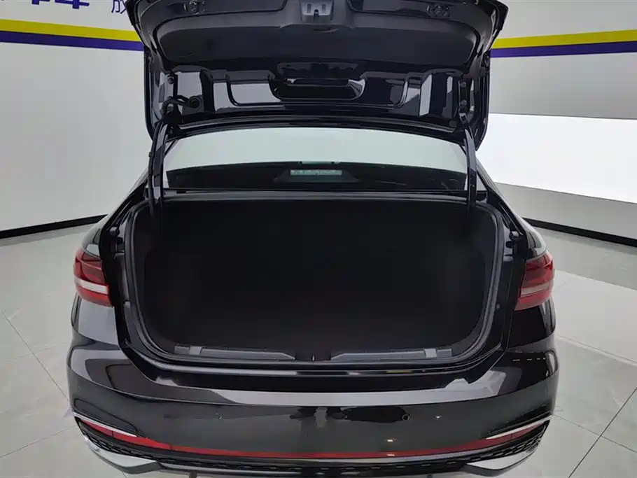 VOLKSWAGEN LAVIDA 2024