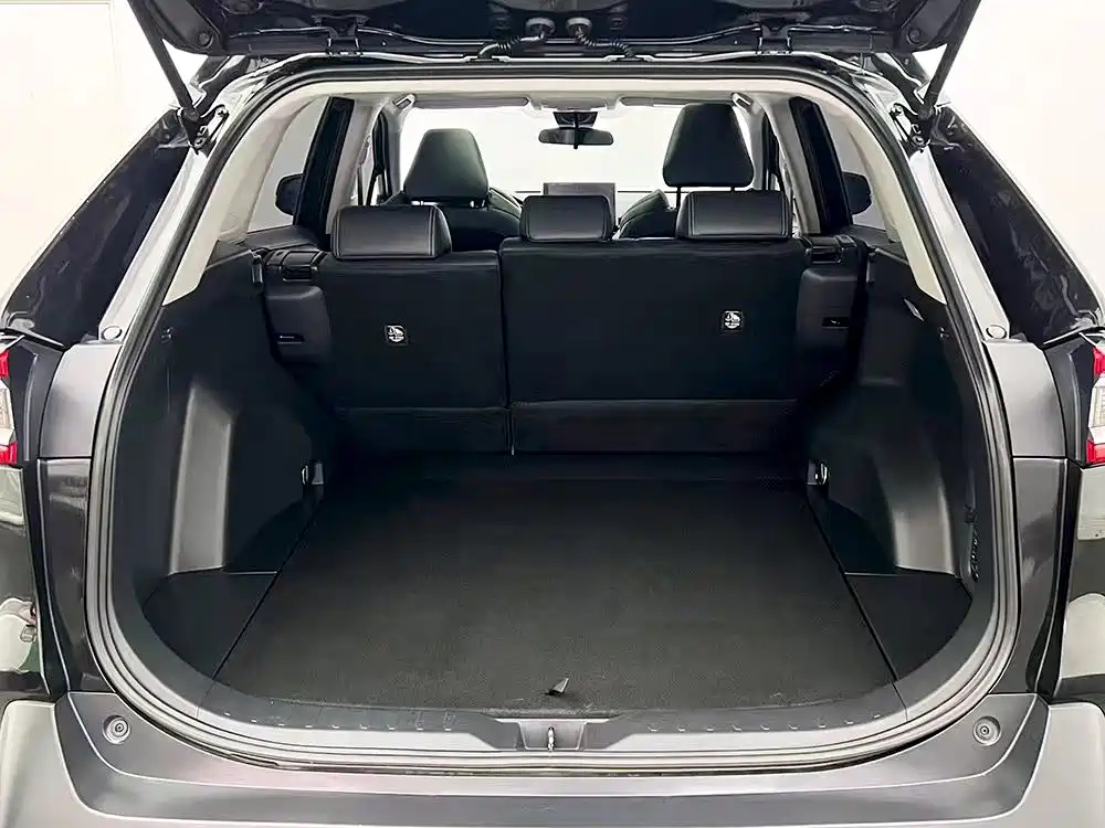 TOYOTA WILDLANDER 2022