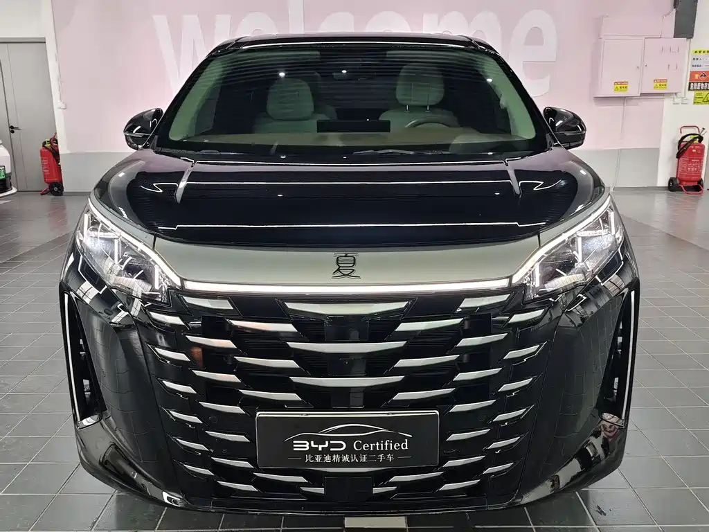 BYD 夏 2025