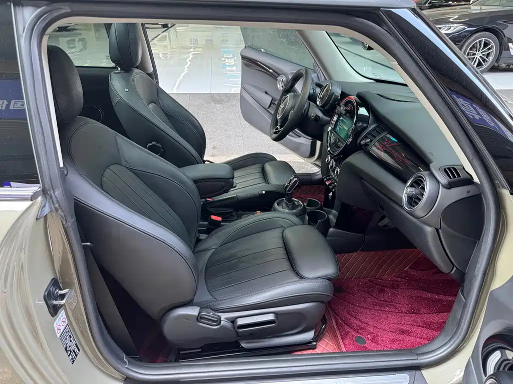 MINI OTHER 2020