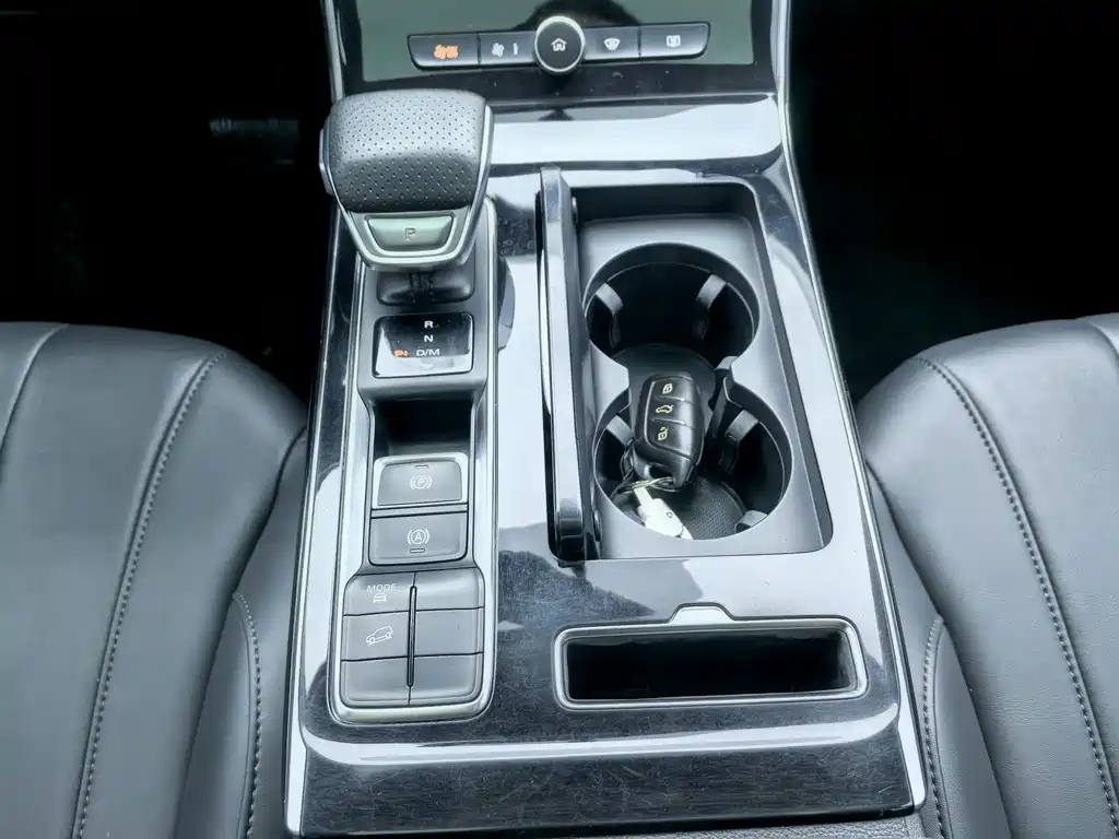 ROEWE RX5 MAX 2019