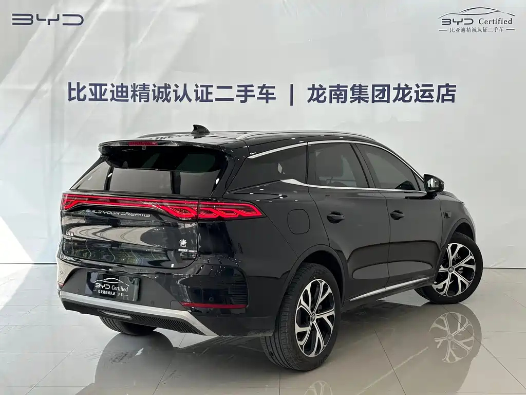 BYD TANG NEW ENERGY 2025