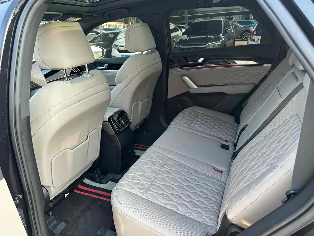 BYD TANG NEW ENERGY 2024