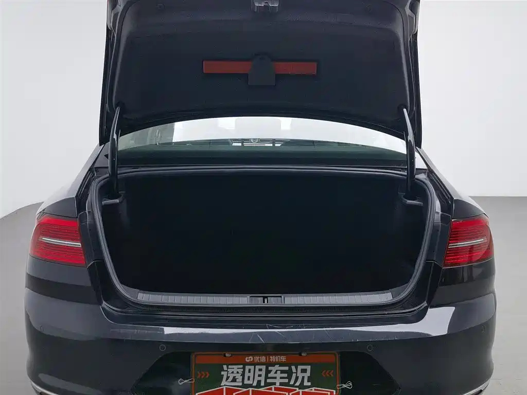 VOLKSWAGEN MAGOTAN 2019