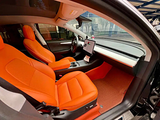 TESLA MODEL Y  2021 YEAR STANDARD RANGE &#21518;&#39537; EDITION 2021