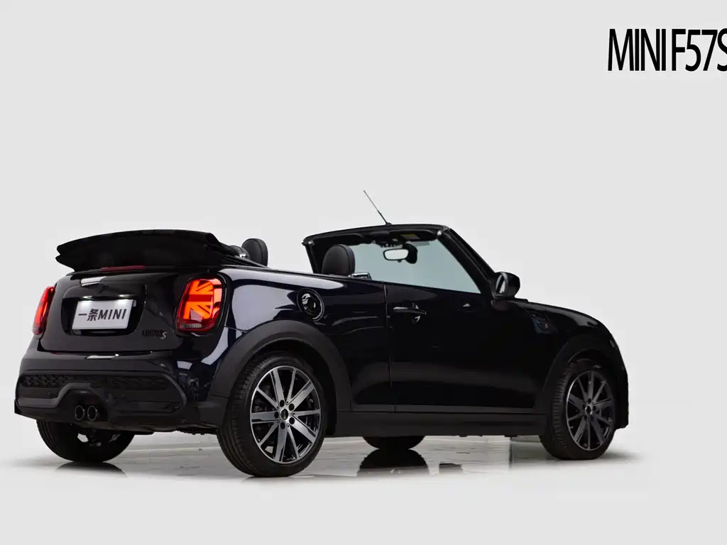 MINI OTHER 2022