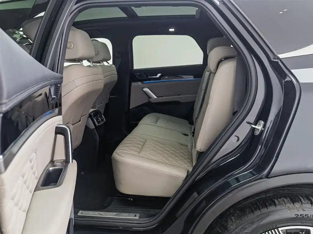 BYD TANG NEW ENERGY 2024