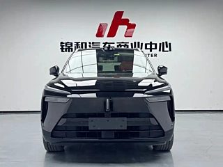 Заказать WEY LANSHAN