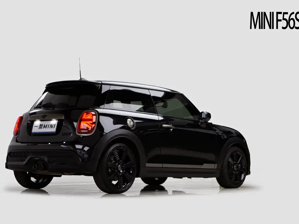 MINI OTHER 2023