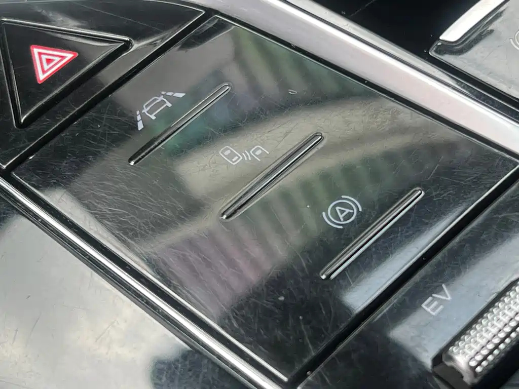 BYD TANG NEW ENERGY 2021