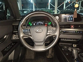 LEXUS UX NEW ENERGY  2020 YEAR 300E &#32431;.&#24742; EDITION 2020