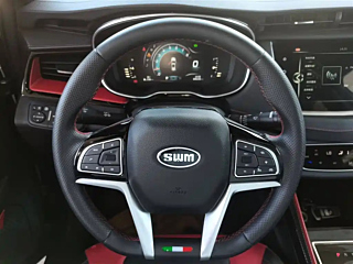 SWM G01FF  2022 YEAR FACELIFT 1.5T DCT EDITION 2022