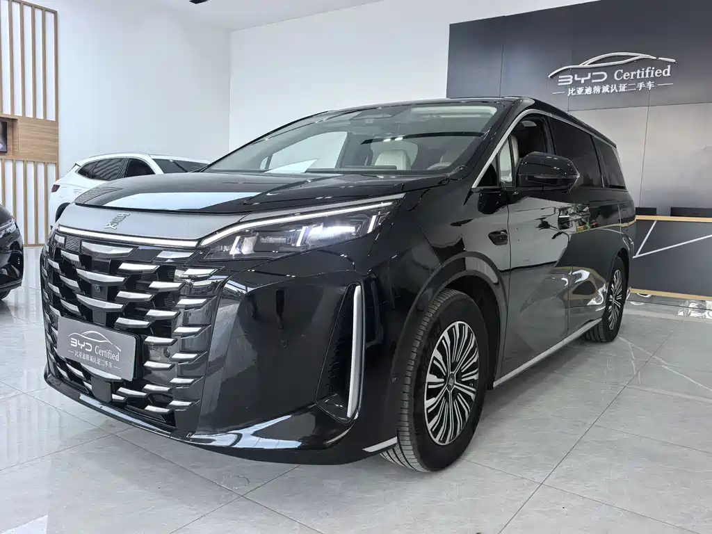 Аукционный лист BYD XIA 2025