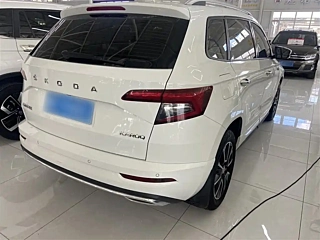SKODA &#26607;&#29662;&#20811;  2024 YEAR TSI280 PREMIUM ENJOY EDITION 2024