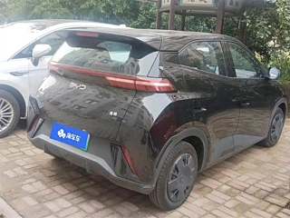 BYD SEAGULL 2025 YEAR 305KM VITALITY EDITION 2025