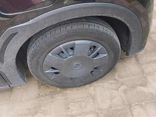 BYD SEAGULL 2025 YEAR 305KM VITALITY EDITION 2025