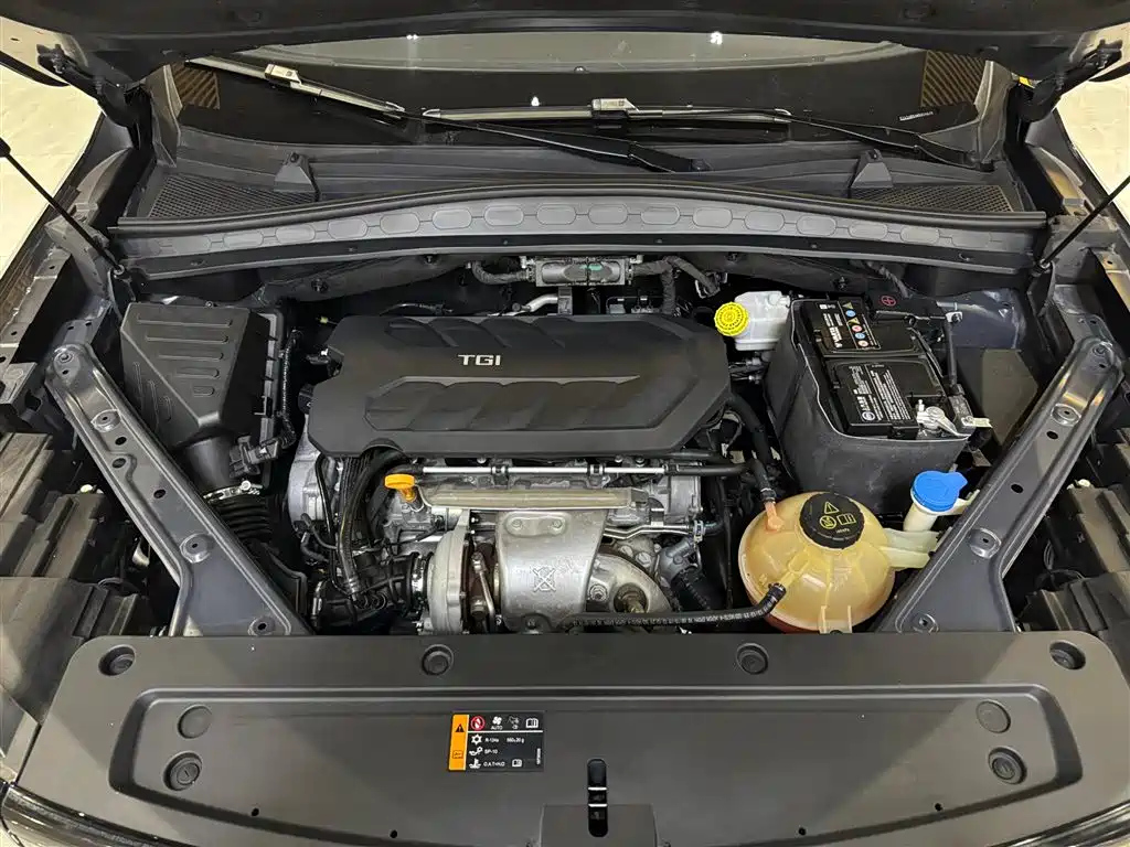 ROEWE RX5 MAX 2021
