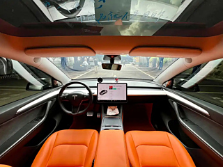 TESLA MODEL Y  2021 YEAR STANDARD RANGE &#21518;&#39537; EDITION 2021