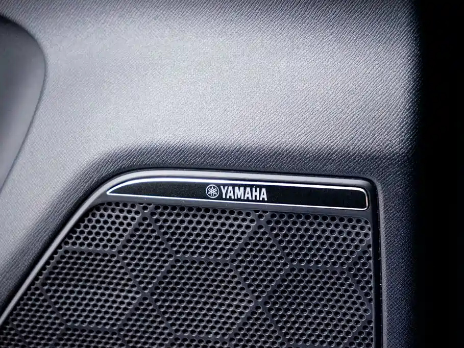 TRUMPCHI E9 2024