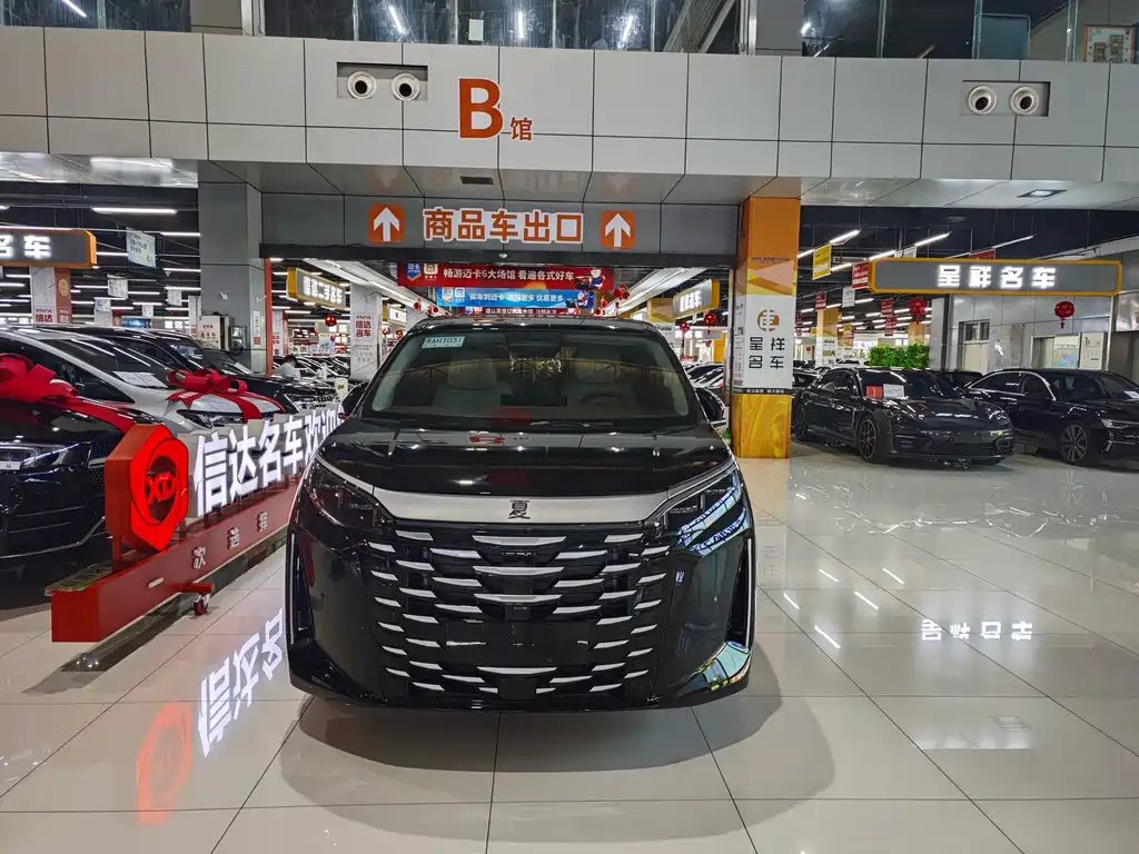 BYD XIA 2025