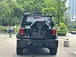 TANK 300  2021 YEAR  EDITION 2.0T 2021