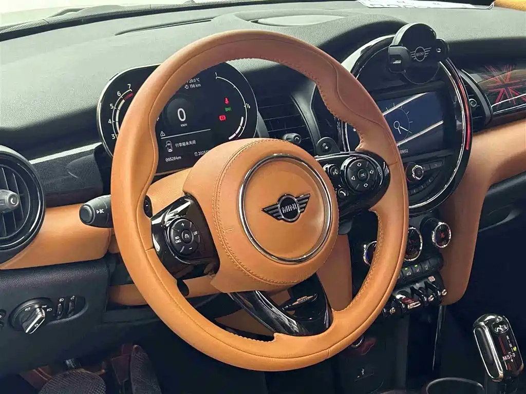 MINI OTHER 2021