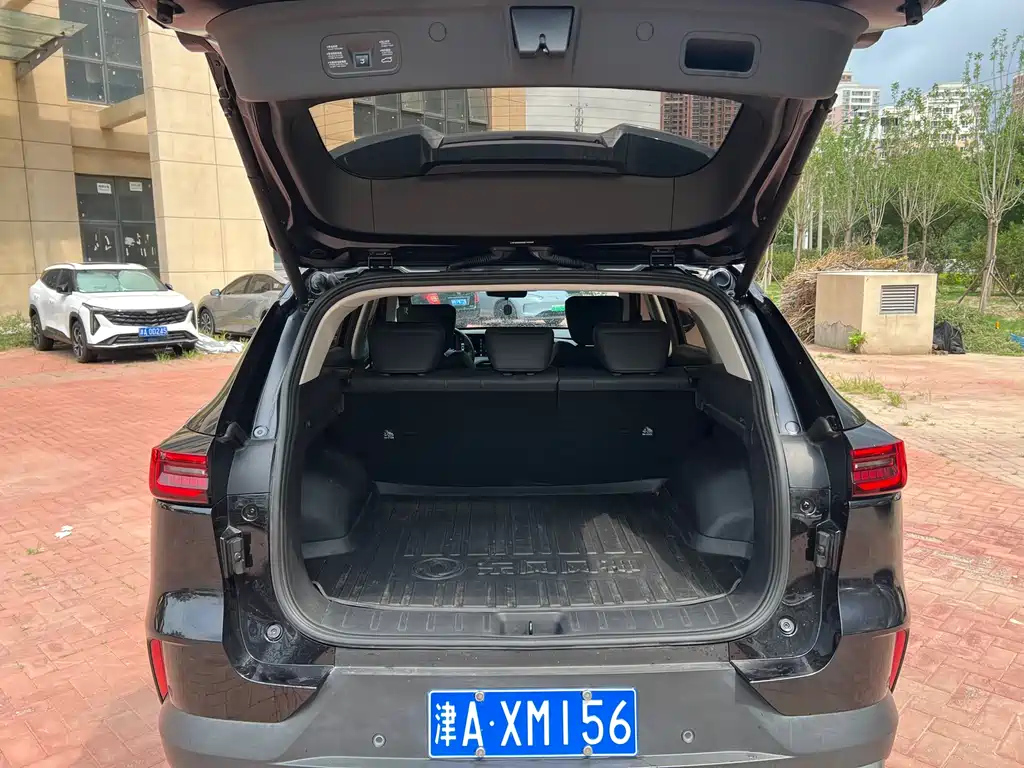 DONGFENG OTHER 2022