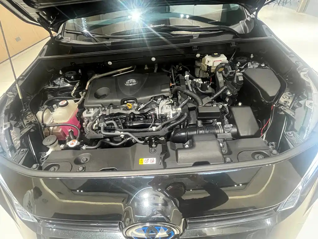 TOYOTA WILDLANDER 2020