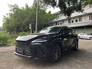 Заказать LEXUS RX