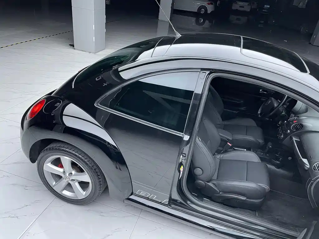 VOLKSWAGEN BEETLE 2010