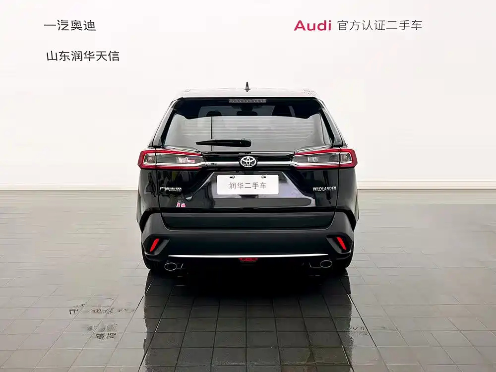 TOYOTA WILDLANDER 2022