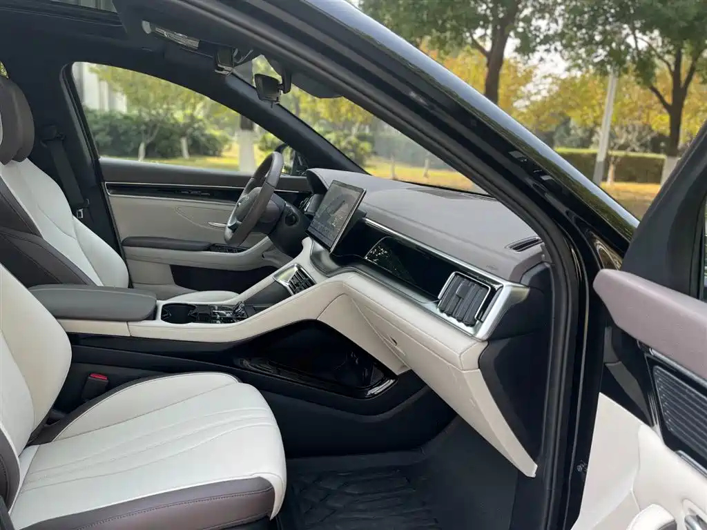 BYD SONG PLUS NEW ENERGY 2025