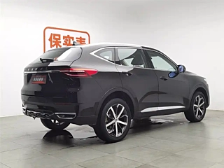 HAVAL F7  2019