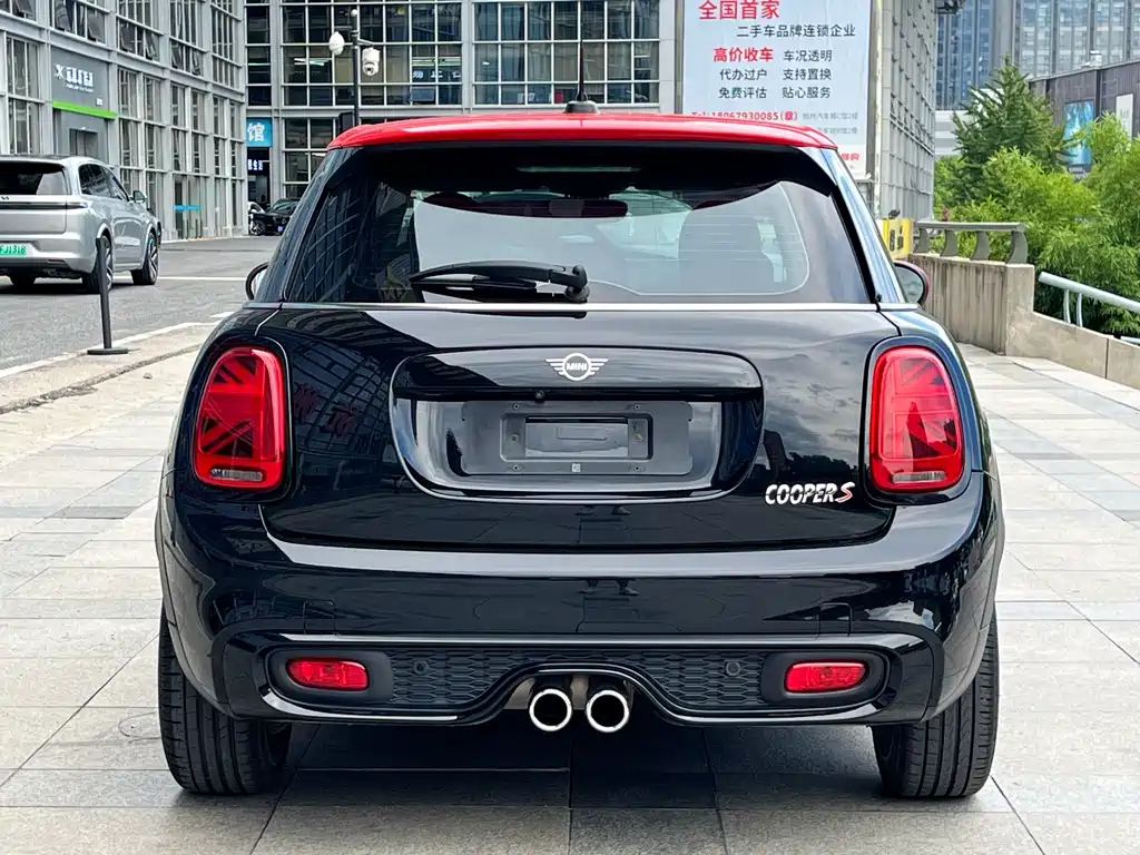 MINI OTHER 2020