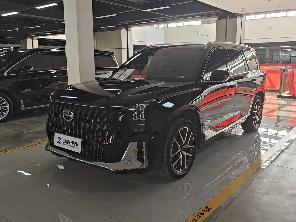 Аукционный лист TRUMPCHI ES9 2024