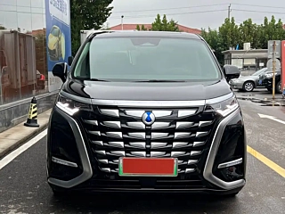 DENZA D9 2024