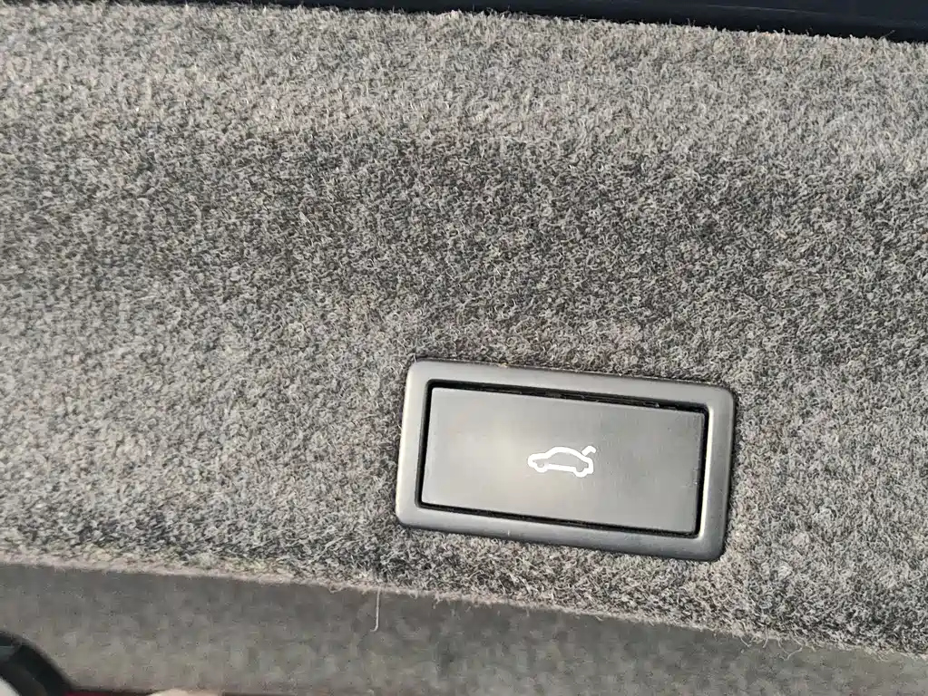 VOLKSWAGEN MAGOTAN 2020