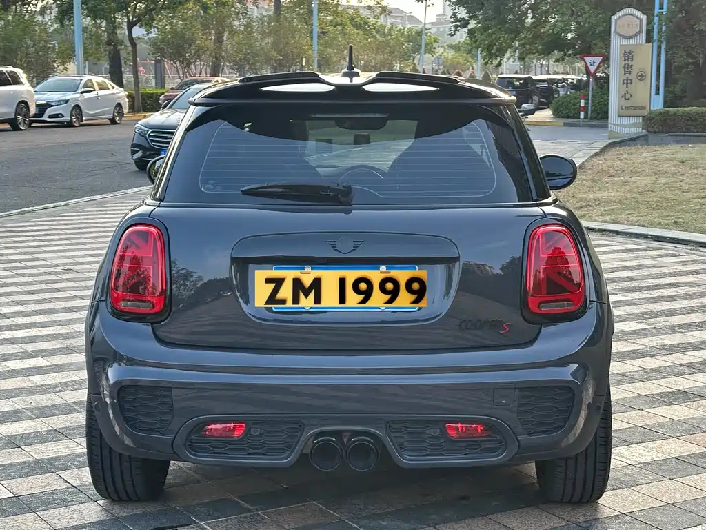 MINI OTHER 2021