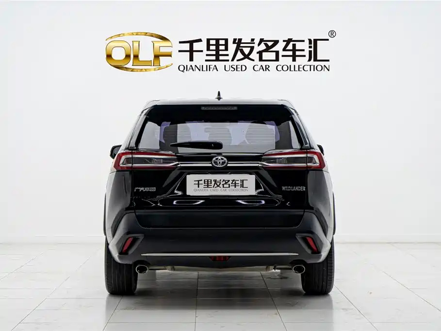 TOYOTA WILDLANDER 2021