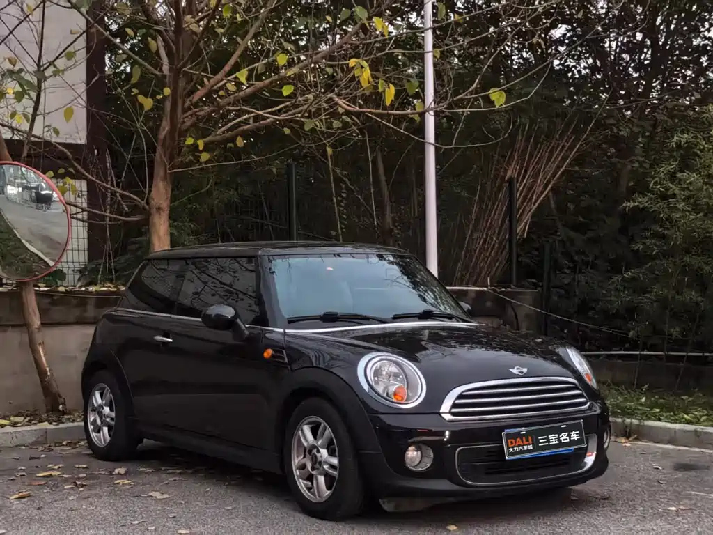 MINI OTHER 2013