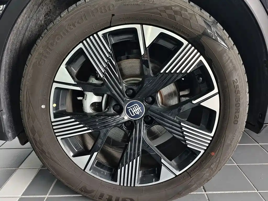 BYD TANG NEW ENERGY 2025