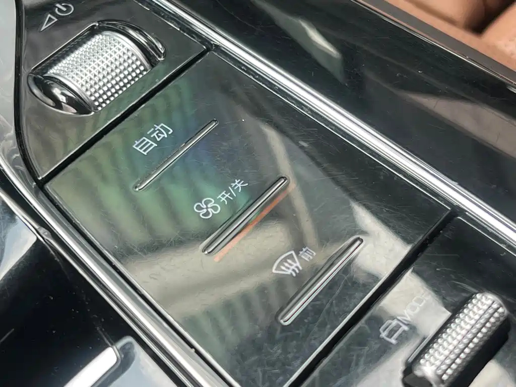 BYD TANG NEW ENERGY 2021